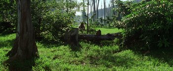 Movie still from “The Island of Dr. Moreau” (1996), directed by Richard Stanley – A couple of monkeys sitting on top of a tree; Wide shot, High angle