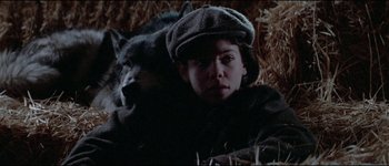 Movie still from “The Journey of Natty Gann” (1985), directed by Jeremy Kagan – A woman and a dog laying in a field of hay; Close Up shot, Overhead angle