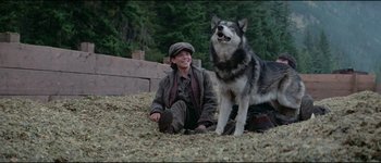 Movie still from “The Journey of Natty Gann” (1985), directed by Jeremy Kagan – A man and a dog sitting on the ground in a field; Medium shot, High angle