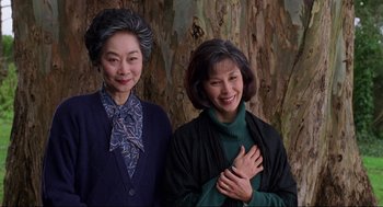 Movie still from “The Joy Luck Club” (1993), directed by Wayne Wang – Two older women standing next to each other in front of a tree; Medium shot, Low angle