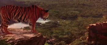Movie still from “The Jungle Book” (1994), directed by Stephen Sommers – A tiger standing on top of a cliff looking out over a forest; Extreme Wide shot, Low angle