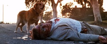 Movie still from “The Last Boy Scout” (1991), directed by Tony Scott – A man laying on the ground next to a brown dog; Wide shot, Low angle