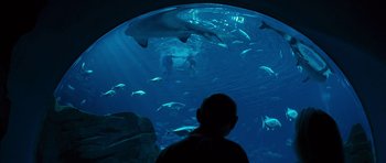 Movie still from “The Last Song” (2010), directed by Julie Anne Robinson – A man is looking at the sharks in the water; Wide shot, Over the shoulder angle