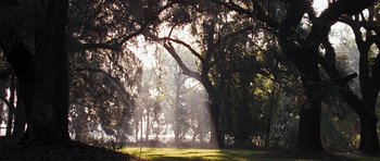 Movie still from “The Last Song” (2010), directed by Julie Anne Robinson – The sun is shining through the trees in the forest; Extreme Wide shot, Low angle