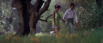 Movie still from “The Learning Tree” (1969), directed by Gordon Parks – A man and a woman walking through a park; Wide shot, Low angle
