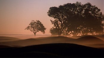 Movie still from “The Legend of Bagger Vance” (2000), directed by Robert Redford – Trees in the distance in the fog at sunset; Extreme Wide shot, Low angle