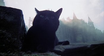 Movie still from “The Legend of Hell House” (1973), directed by John Hough – A black cat sitting on the ground in front of a building; Close Up shot, Low angle