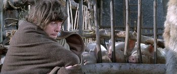Movie still from “The Lion in Winter” (1968), directed by Anthony Harvey – A man and some pigs in a pen; Close Up shot, Low angle