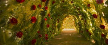 Movie still from “The Little Prince” (2015), directed by Mark Osborne – A tunnel of roses in a garden setting; Extreme Wide shot, High angle