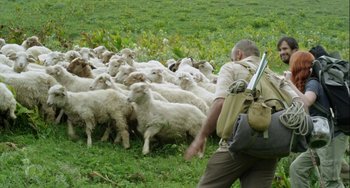 Movie still from “The Loneliest Planet” (2011), directed by Julia Loktev – A man herding a herd of sheep in a field; Wide shot, Over the shoulder angle