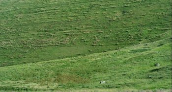 Movie still from “The Loneliest Planet” (2011), directed by Julia Loktev – A field with a number of animals in the grass; Extreme Wide shot, High angle