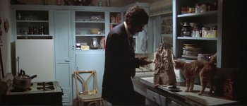 Movie still from “The Long Goodbye” (1973), directed by Robert Altman – A man standing in a kitchen next to a counter; Medium shot, High angle