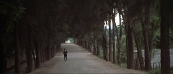 Movie still from “The Long Goodbye” (1973), directed by Robert Altman – A person walking down a tree - lined street; Extreme Wide shot, High angle