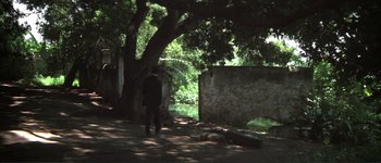 Movie still from “The Long Goodbye” (1973), directed by Robert Altman – A man standing next to a tree in the shade; Extreme Wide shot, High angle