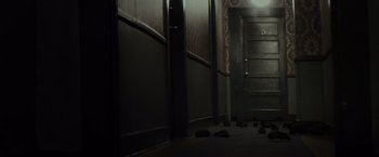 Movie still from “The Lords of Salem” (2012), directed by Rob Zombie – A dark hallway with a bunch of cats laying on the floor; Wide shot, High angle