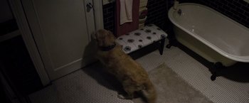 Movie still from “The Lords of Salem” (2012), directed by Rob Zombie – A dog standing on the floor of a bathroom; Wide shot, High angle