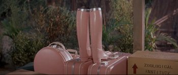 Movie still from “The Lost World” (1960), directed by Irwin Allen – A pair of pink rain boots sitting on top of pink luggage; Medium shot, High angle