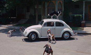 Movie still from “The Love Bug” (1969), directed by Robert Stevenson – A group of dogs chasing each other in front of a car; Wide shot, High angle