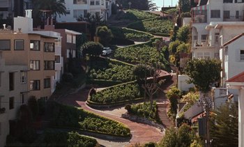 Movie still from “The Love Bug” (1969), directed by Robert Stevenson – An aerial view of a residential area with a lot of trees and bushes; Extreme Wide shot, High angle