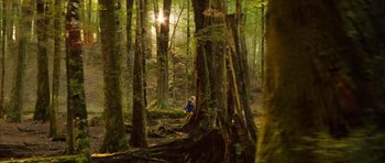 Movie still from “The Lovely Bones” (2009), directed by Peter Jackson – A person standing in the middle of a forest; Extreme Wide shot, Low angle