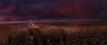 Movie still from “The Lovely Bones” (2009), directed by Peter Jackson – A field of sunflowers under a cloudy sky; Extreme Wide shot, High angle