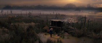 Movie still from “The Lovely Bones” (2009), directed by Peter Jackson – A person standing in the middle of a field near trees; Extreme Wide shot, High angle