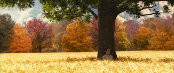 Movie still from “The Lovely Bones” (2009), directed by Peter Jackson – A man sitting under a tree in a field; Extreme Wide shot, High angle