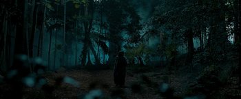 Movie still from “The Lovers” (2015), directed by Roland Joffé – A person standing in the woods at night; Extreme Wide shot, High angle