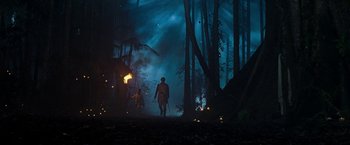 Movie still from “The Lovers” (2015), directed by Roland Joffé – A man walking through the woods at night; Extreme Wide shot, Low angle