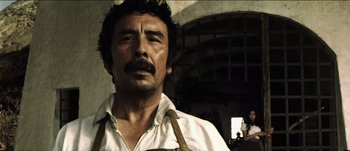 Movie still from “The Mexican” (2001), directed by Gore Verbinski – A person with a beard; Close Up shot, Low angle