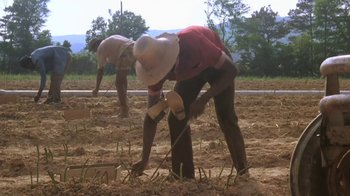 Movie still from “The Mosquito Coast” (1986), directed by Peter Weir – Two men working in a field on a dirt ground; Wide shot, High angle