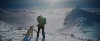 Movie still from “The Mountain Between Us” (2017), directed by Hany Abu-Assad – A man and a dog on top of a snowy mountain; Wide shot, Low angle