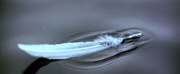 Movie still from “The NeverEnding Story II: The Next Chapter” (1990), directed by George Miller – A white feather floating on top of a body of water; Extreme Close Up shot, Low angle