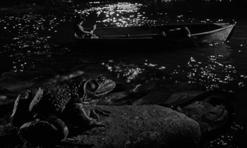 Movie still from “The Night of the Hunter” (1955), directed by Charles Laughton – A black and white photo of a frog on a rock near a body of water; Wide shot, High angle