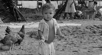 Movie still from “The Night of the Iguana” (1964), directed by John Huston – A young boy standing in the sand near a clothesline; Medium shot, High angle