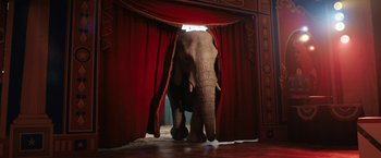 Movie still from “The One and Only Ivan” (2020), directed by Thea Sharrock – An image of an elephant standing in front of a red curtain; Wide shot, Low angle