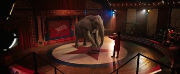 Movie still from “The One and Only Ivan” (2020), directed by Thea Sharrock – An elephant standing on top of a circus ring; Wide shot, High angle