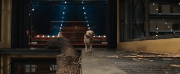 Movie still from “The One and Only Ivan” (2020), directed by Thea Sharrock – A dog standing on the side of the street; Wide shot, High angle