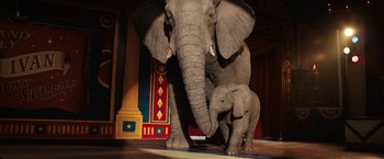 Movie still from “The One and Only Ivan” (2020), directed by Thea Sharrock – An adult and a baby elephant standing next to each other; Wide shot, Low angle