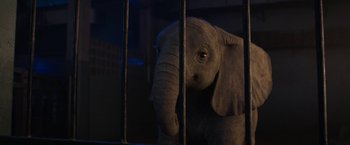 Movie still from “The One and Only Ivan” (2020), directed by Thea Sharrock – An image of an elephant that is in a caged area; Close Up shot, High angle