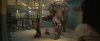 Movie still from “The One and Only Ivan” (2020), directed by Thea Sharrock – Two men are helping an elephant to stand on its hind legs in an enclosure; Wide shot, Low angle