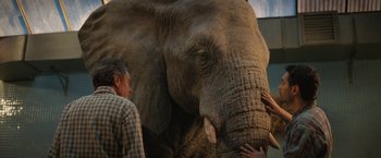 Movie still from “The One and Only Ivan” (2020), directed by Thea Sharrock – An older man petting an elephant's trunk; Medium shot, Low angle