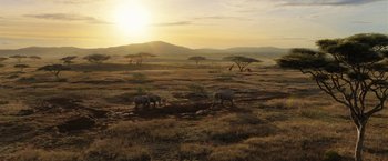 Movie still from “The One and Only Ivan” (2020), directed by Thea Sharrock – A herd of elephants walking across a dry grass field; Extreme Wide shot, High angle