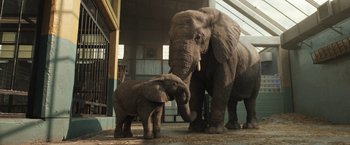 Movie still from “The One and Only Ivan” (2020), directed by Thea Sharrock – An adult and a baby elephant standing next to each other in an enclosure; Wide shot, Low angle