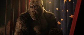 Movie still from “The One and Only Ivan” (2020), directed by Thea Sharrock – A gorilla's face in front of stars; Close Up shot, Low angle