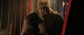 Movie still from “The One and Only Ivan” (2020), directed by Thea Sharrock – A gorilla's face in the dark; Medium shot, Low angle