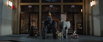 Movie still from “The One and Only Ivan” (2020), directed by Thea Sharrock – Many animals that are standing in front of a building; Wide shot, Low angle