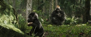 Movie still from “The One and Only Ivan” (2020), directed by Thea Sharrock – Two gorilla sitting in the woods with a stick in their mouth; Wide shot, High angle