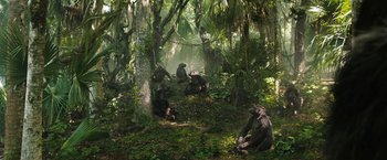 Movie still from “The One and Only Ivan” (2020), directed by Thea Sharrock – A group of chimpanzees sitting in the woods; Wide shot, High angle