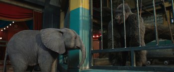 Movie still from “The One and Only Ivan” (2020), directed by Thea Sharrock – An elephant standing next to a gorilla in a cage; Medium shot, High angle